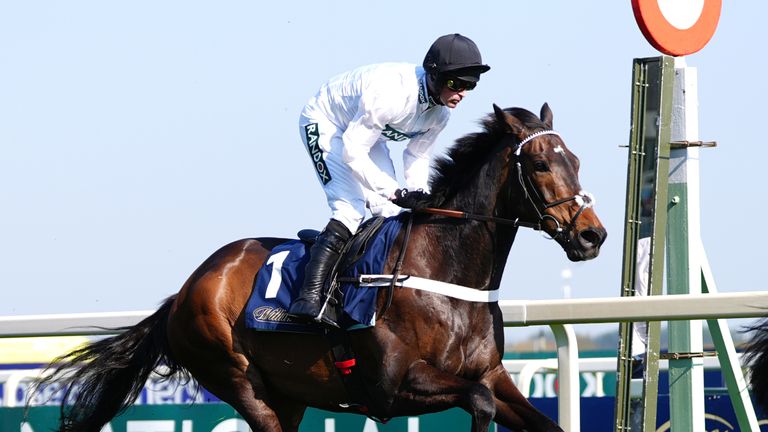 Constitution Hill could head for Southwell to run on the flat next month