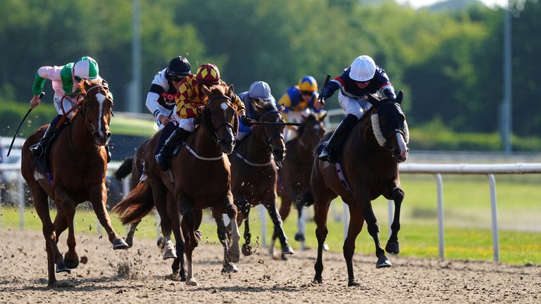 Wolverhampton hosts live racing on Tuesday