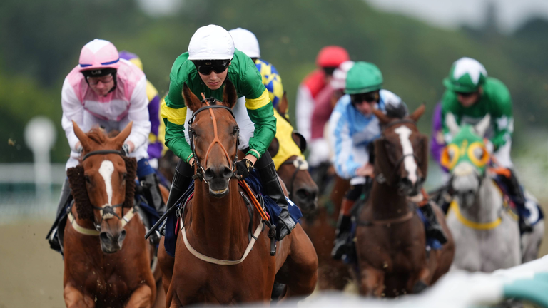 Racing at Lingfield Park
